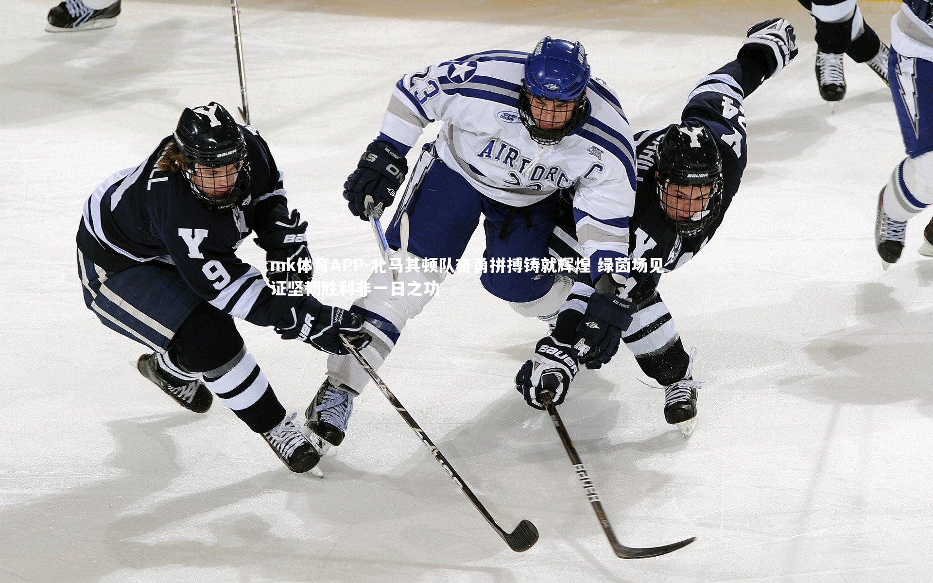 北马其顿队奋勇拼搏铸就辉煌 绿茵场见证坚韧胜利非一日之功